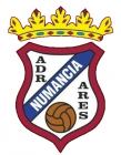 Escudo de Numancia C.F. [aco]