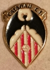 Escudo de Catadau C.F.