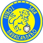 Escudo de F.S. Navalcarnero