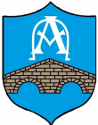 Escudo anterior de C.D. Allariz
