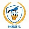 Escudo asociado a Pocholos F.C.