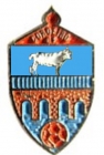 Escudo anterior de Cordeiro C.F.