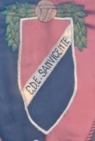 Escudo anterior de U.D. San Vicente [ali]
