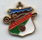 Escudo de C.D. Bodeguilla