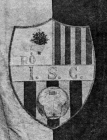 Escudo anterior de Iluro S.C.