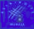 Escudo anterior de C.F.S.T. Astrikoitz Mungia