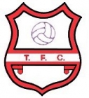 Escudo anterior de Tomiño F.C.