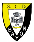 Escudo asociado a S.C.D. Bayón