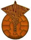 Escudo anterior de Maravillas S.D.