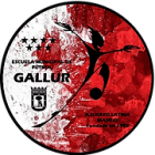 Escudo de A.D. Rayo Latina