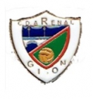 Escudo anterior de C.D. Arenal