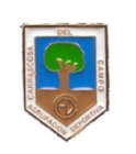 Escudo de A.D. Carrascosa