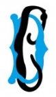 Escudo anterior de R.C. Deportivo de La Coruña