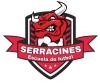 Escudo anterior de C.D. Serracines