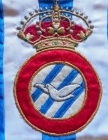 Escudo de P.E. Santa Coloma