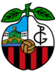 Escudo de Puente Genil Industrial C.F.