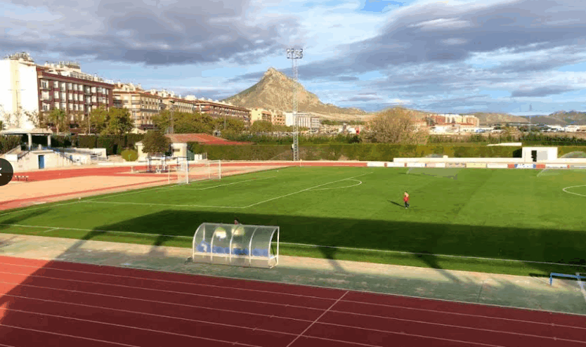 Campo de fútbol Uva Monastrell