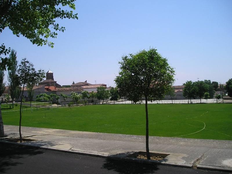Campo municipal La Mota