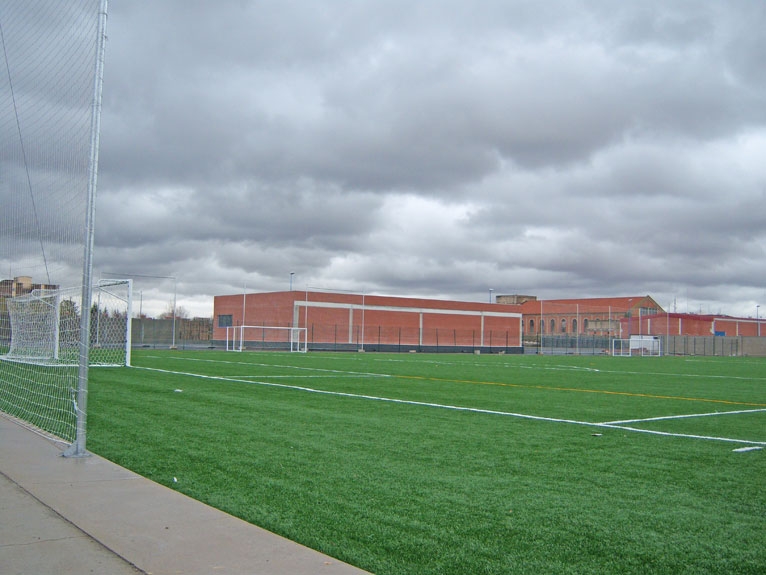 Campo municipal Los Escoceses